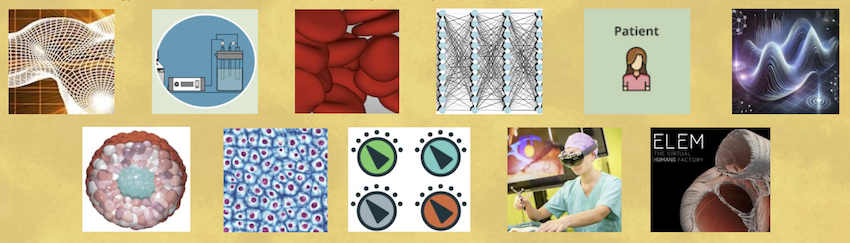 Figures representing the lecturs of the series "Digital Twins in the Life Sciences".