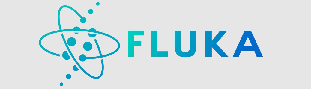 VI FLUKA Advanced Course