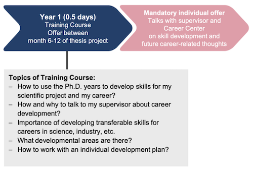 Career Development (year 1)