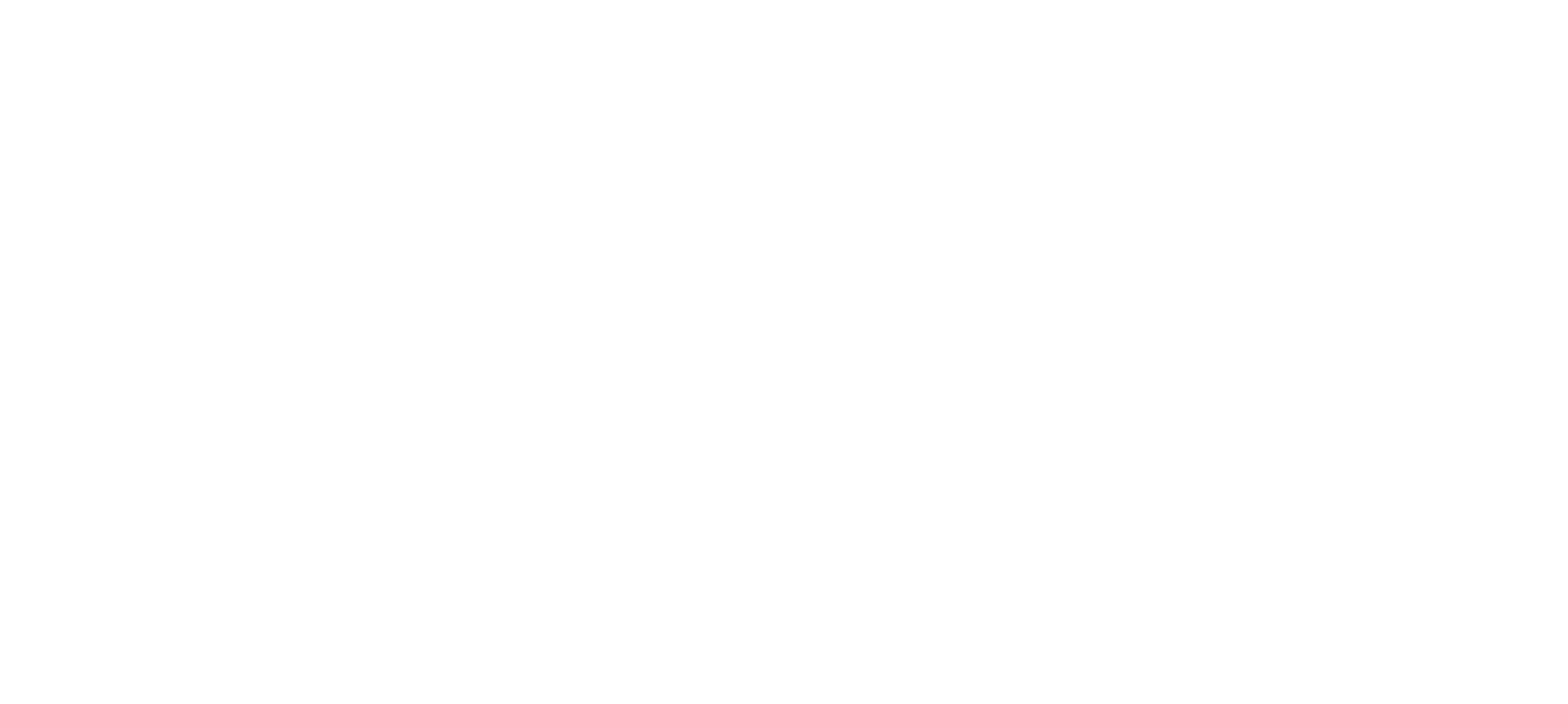 Der Workshop im Überblick