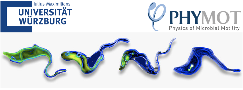 Physics of Microbial Motility